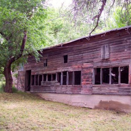 Saving the Old Chicken House